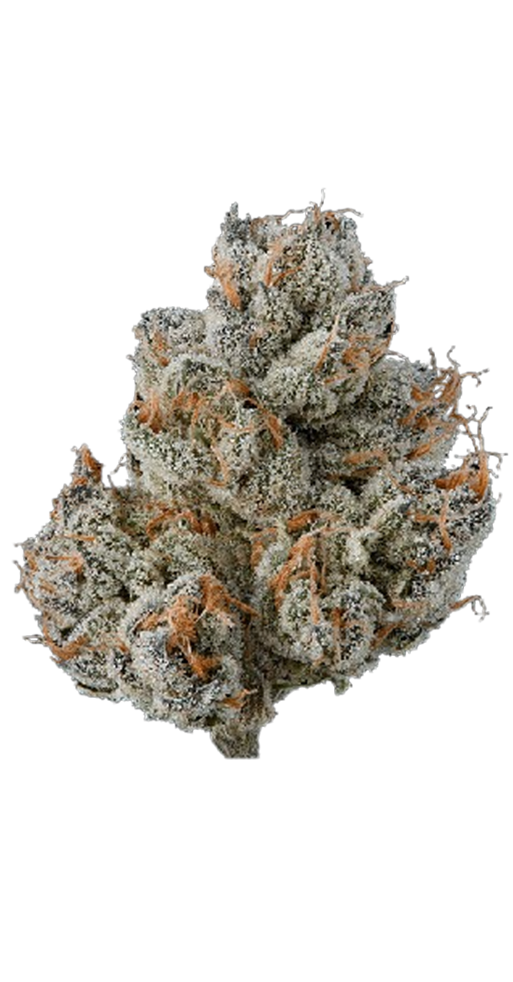 Point Breeze cannabis flower