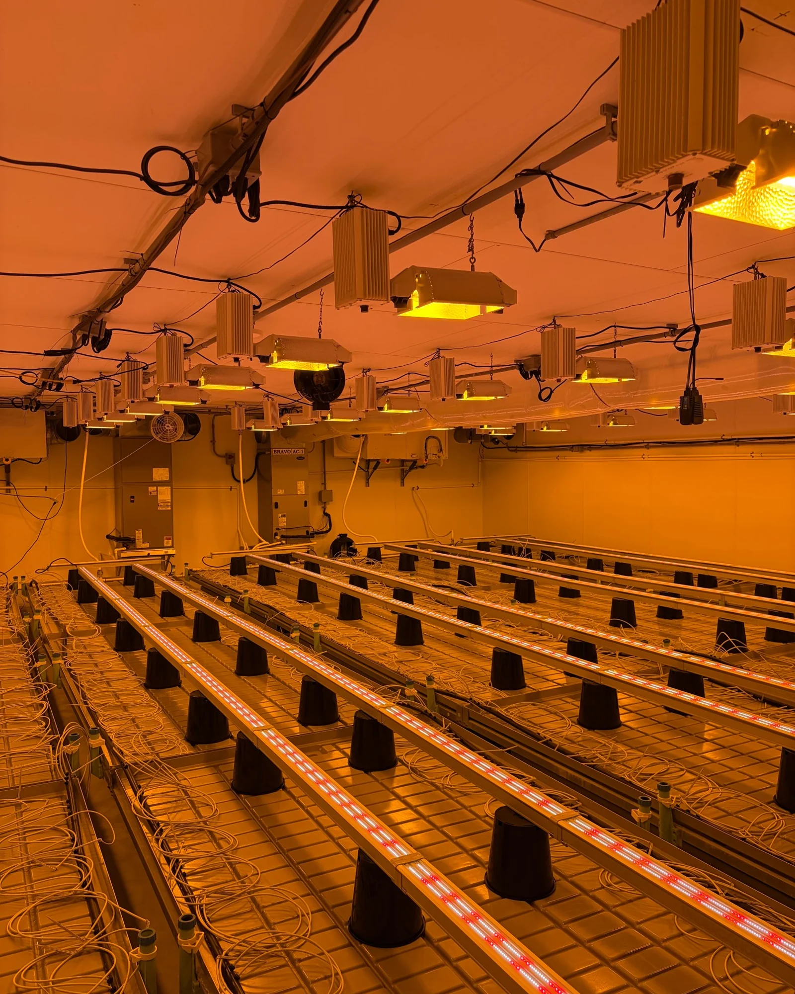Indoor cannabis cultivation room